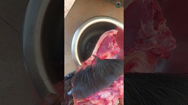 मुंह मे पानी आ गया #pork #porkshort #cooking #brownmundavlogs