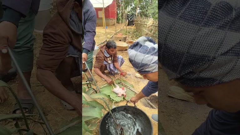 Tiprasa mui || Villagers cooking||Rice||Dal||Local Chicken|| Pork meat||Delicious||Tripura||