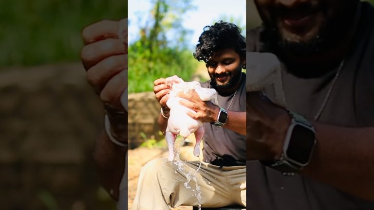 Thandoori Chicken wrap #recipe