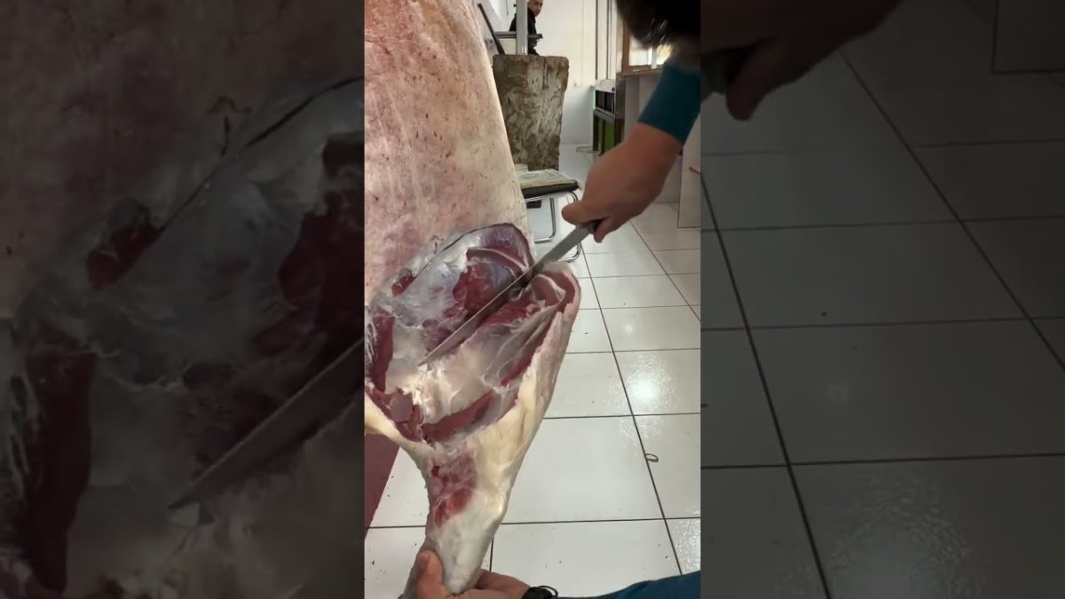 Satisfying Meat Cutting ✨ | Perfect Knife Skills #bbq #shorts #bbqmeat #bbqfoodbeefusa