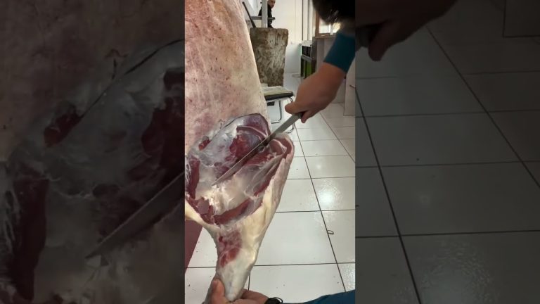 Satisfying Meat Cutting ✨ | Perfect Knife Skills #bbq #shorts #bbqmeat #bbqfoodbeefusa