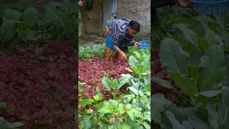 Laal shaak chicken recipe #shorts #chicken #food #villagefood