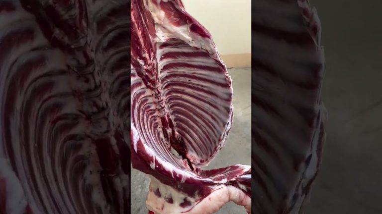 Satisfying Meat Cutting ✨ | Perfect Knife Skills #bbq #shorts #bbqmeat #bbqfoodbeefusa