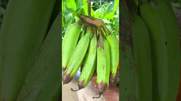 Raw Banana Kofta Curry Recipe | Traditional Indian Style #shorts #recipe #cooking #bengalirecipe