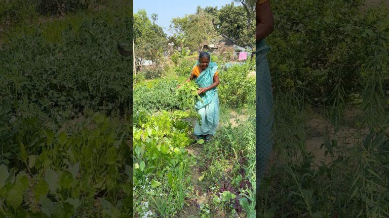 Quick Palak Sabzi Recipe | Easy Indian Spinach #shorts #cooking #recipe