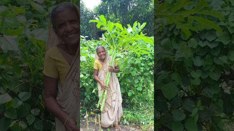 Taro Stem Stir Fry with Fresh Coconut #shorts  #cooking #villagefood #indianfood #recipe