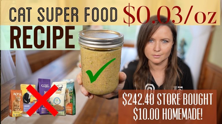 Easy Cat Super Food Recipe for $0.03/oz !  Healthier & Cheaper Than Store Brands!