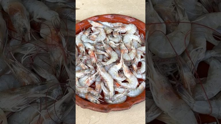 Shrimp with Taro Leaves | Bengali Style Curry#cooking #recipe #villagefood #shorts