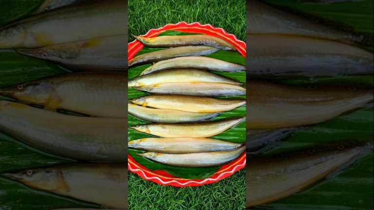 Pakal Fish Cooking | Simple & Tasty Village Recipe 😋 #foryou #cooking #shorts