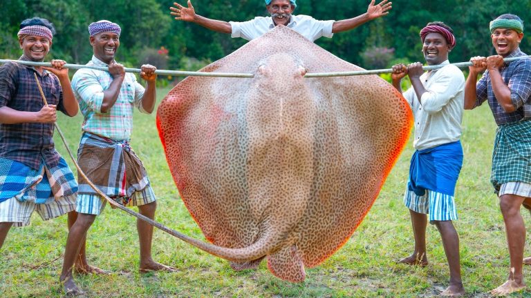 200 Pounds BIG STINGRAY | Cutting & Eating in Village | Village Fish Curry Recipe | Tasty Fish Fry