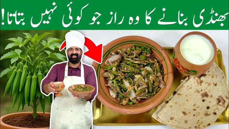 Masala Bhindi For Lunch🍱 – Sabse Easy or Tasty Bhindi Recipe – مصالحہ بھنڈی – BaBa Food RRC