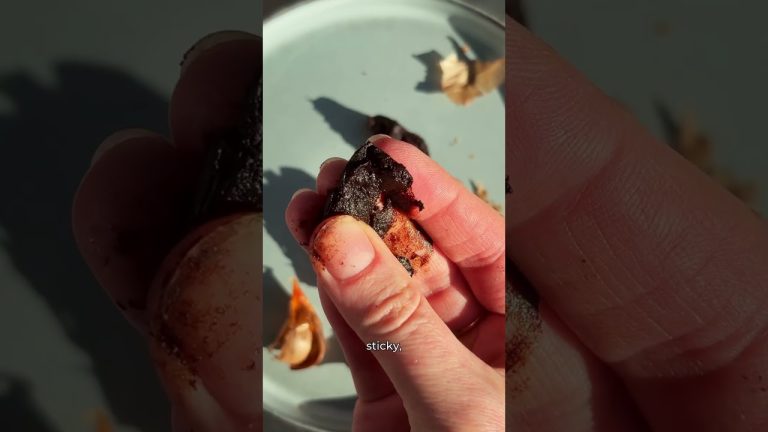Everything You Need to Know About Black Garlic