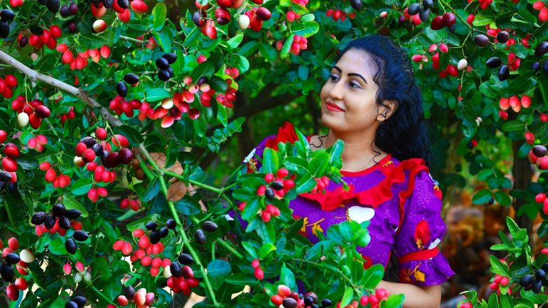 Karonda Fruit Harvest! 🍒 Sour & Sweet Recipes From Garden To Table!